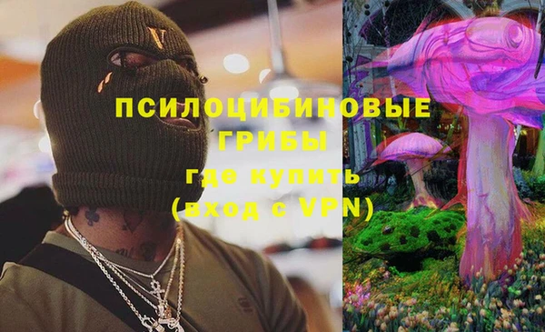 ПСИЛОЦИБИНОВЫЕ ГРИБЫ Абинск