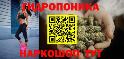 шишки Пугачёв