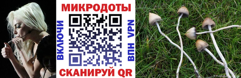 Псилоцибиновые грибы Magic Shrooms  гидра tor  Дальнереченск 