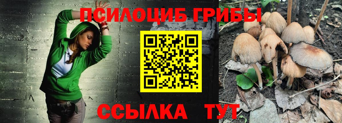 Дальнереченск  Псилоцибиновые грибы мицелий  Вход с VPN 